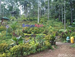 Ini Wisata Kebun Durian di Trenggalek, Penasaran?