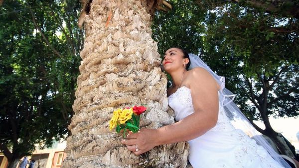 Wanita di Meksiko Ramai-ramai Menikahi Pohon, Ada Apa?