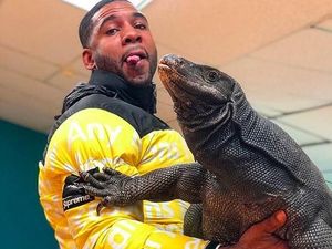 Mengenal @therealtarzann, Pria yang Gendong Komodo