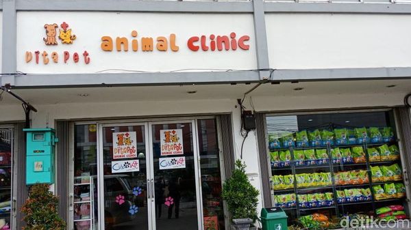 Foto: Vitapet Pluit yang Bantah Tudingan Viral Pet Killer