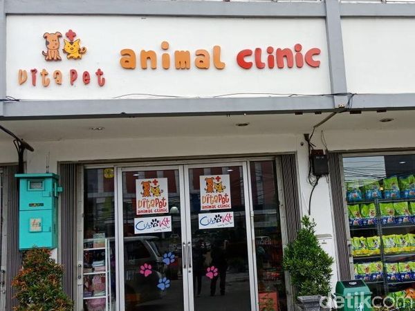 Foto: Vitapet Pluit yang Bantah Tudingan Viral Pet Killer