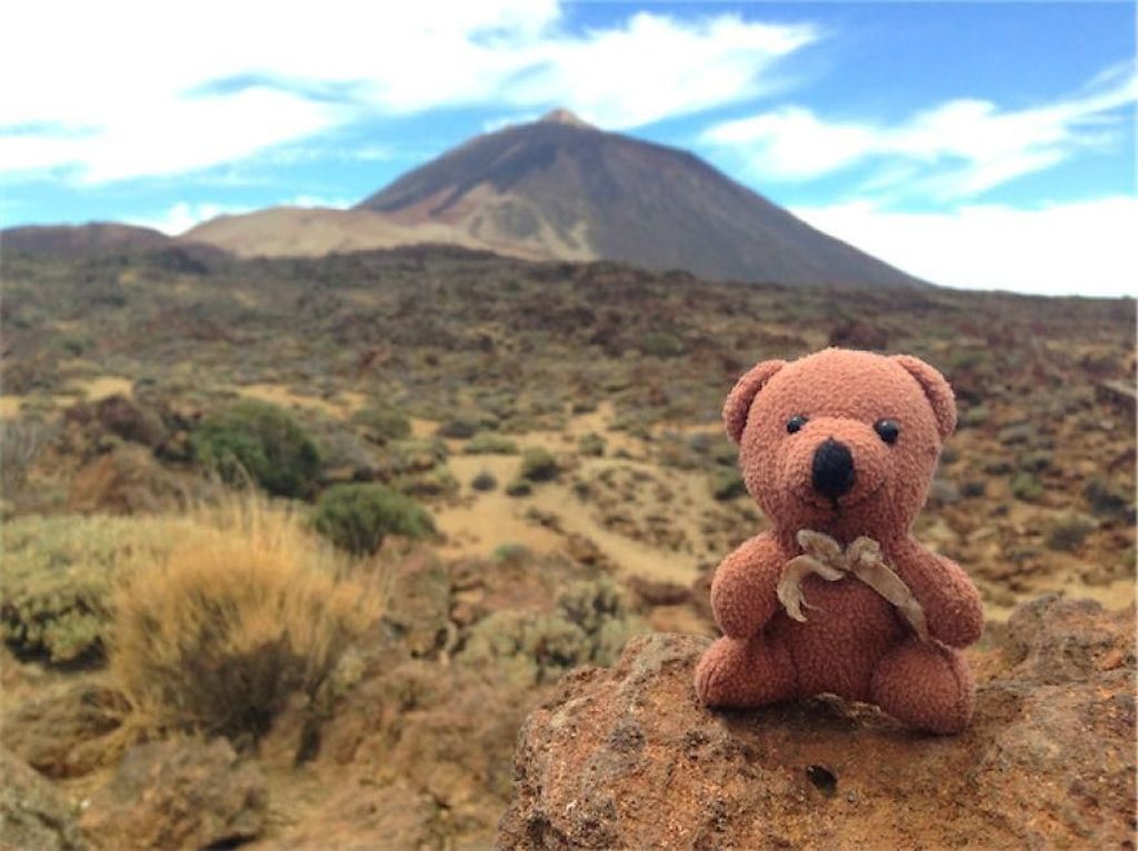 Peep, Boneka Beruang yang Keliling Dunia