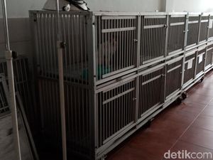 Pihak Dokter Vitapet Keberatan dengan Postingan Claudia