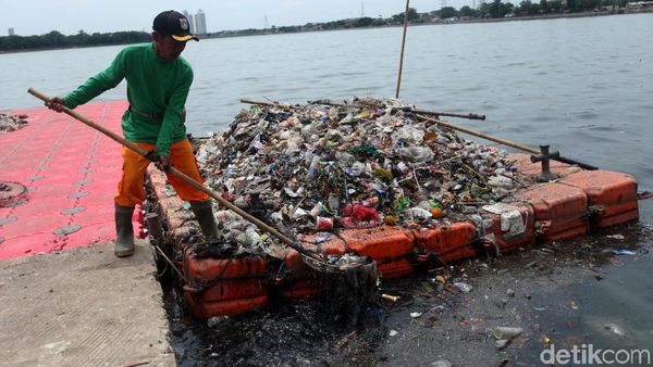 Petugas Berjibaku Membersihkan Danau Sunter dari Sampah