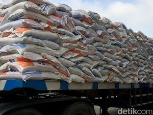 Simpang-siur Data Pangan, Pemerintah Bisa Kehilangan Kepercayaan