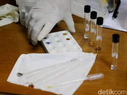 Disarukan Jadi Teh, 5 Kg Sabu Nyaris Beredar di Makassar