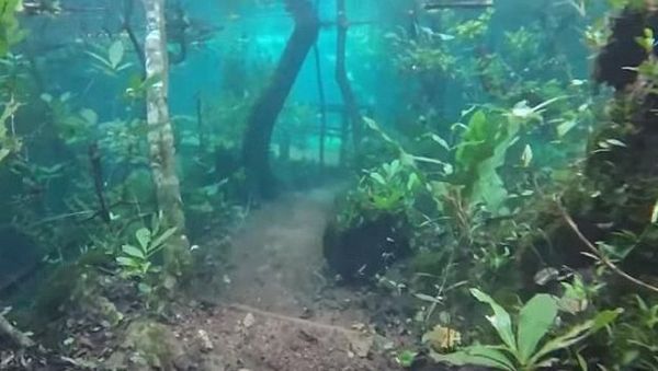 Foto: Banjir yang Cantik