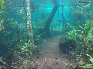 Foto: Banjir yang Cantik