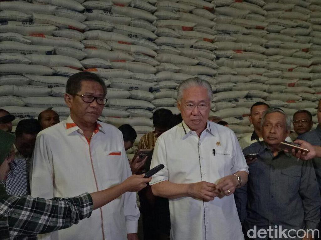 Harga Beras Medium Masih Tinggi, Ini Kata Bulog Harga Beras Medium Masih Tinggi, Ini Kata Bulog
