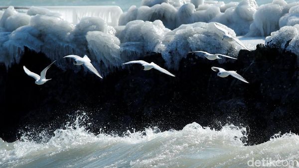 Foto: Membeku! Benda-benda Ini Jadi Cantik