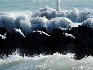 Foto: Membeku! Benda-benda Ini Jadi Cantik