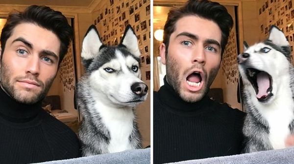 Ekspresi Hewan Peliharaan dan Pemilik Ini Bisa Bikin Senyum-senyum