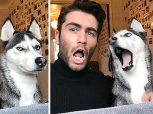 Ekspresi Hewan Peliharaan dan Pemilik Ini Bisa Bikin Senyum-senyum