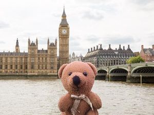 Foto: Teddy Bear yang Keliling Dunia