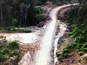 107 Km Jalan Perbatasan Kalbar Masih Belum Tembus Hutan 107 Km Jalan Perbatasan Kalbar Masih Belum Tembus Hutan