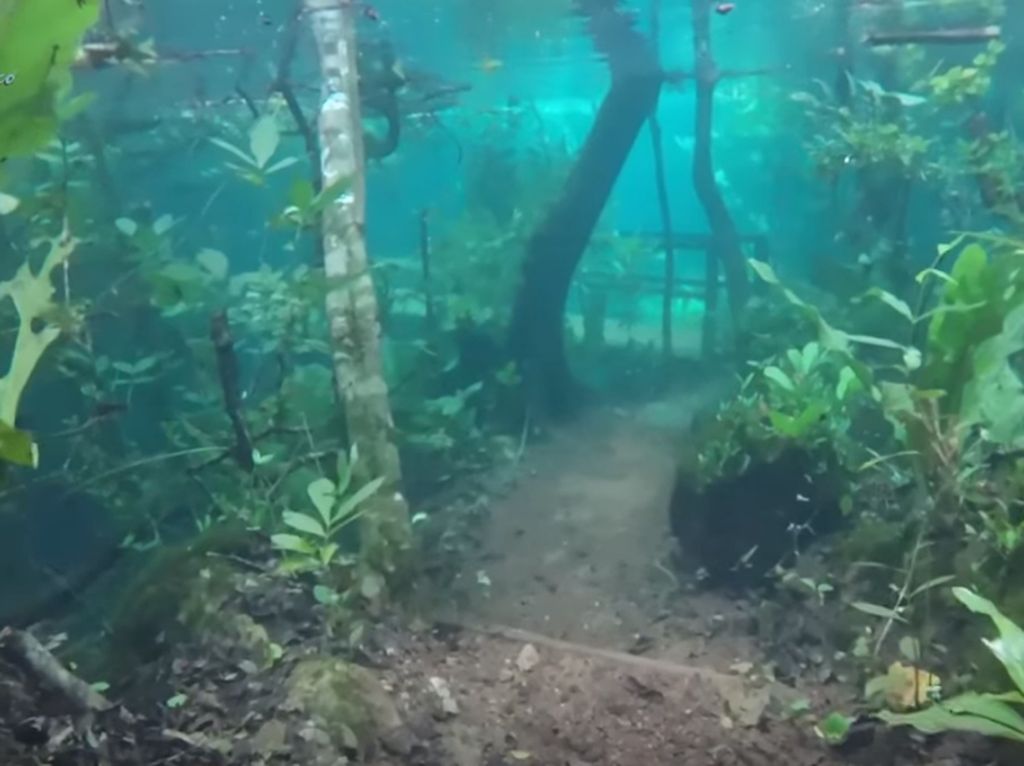 Bukan Danau, Ini Jalur Hiking Bawah Air di Brasil Bukan Danau, Ini Jalur Hiking Bawah Air di Brasil