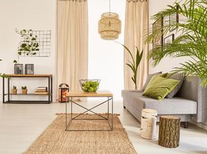 10 Tanaman Hias yang Bisa Membuat Rumah Kamu Lebih Sehat