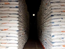 Darmin: Kalau Tak Impor, Beras di Gudang Bulog Hanya 800.000 Ton
