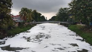 Penampakan Busa yang Muncul di Kali Sunter