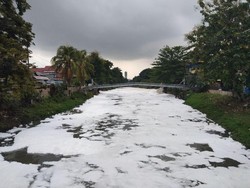Sungai di Jakarta Tercemar, Sandiaga: Kita Bersihkan