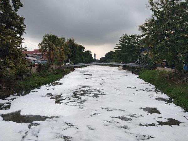 Penampakan Busa yang Muncul di Kali Sunter