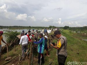 Debit Air Sungai Bengawan Solo Naik, Tanggul Wedok Longsor Debit Air Sungai Bengawan Solo Naik, Tanggul Wedok Longsor