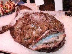 Cerita Pria Jepang Mengklaim Kena Infeksi Akibat Masturbasi Pakai Ikan