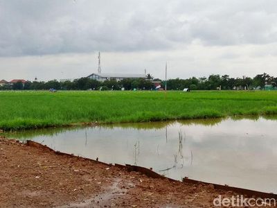 Rumah DP Rp 0 di Cilincing Dibangun di Lahan Bekas Sawah