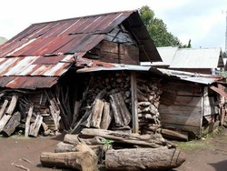 Sekeluarga di Sumsel Gangguan Jiwa dan Tinggali Rumah Tak Layak