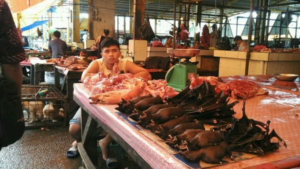 Foto: Pasar Ini Jual Daging Kelelawar Sampai Tikus
