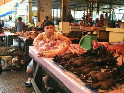 Foto: Pasar Ini Jual Daging Kelelawar Sampai Tikus