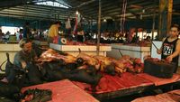 Daging-daging ekstrem yang diperjualbelikan (Usman Hadi/detikTravel)