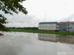 Parah! Makin Banyak Lahan Pertanian Raib Tiap Tahun