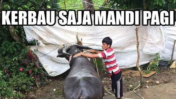 Ini 10 Meme Malas Mandi yang Kocak Abis, Bikin Ngakak!