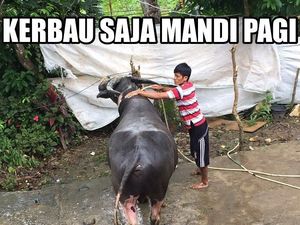 Ini 10 Meme Malas Mandi yang Kocak Abis, Bikin Ngakak!