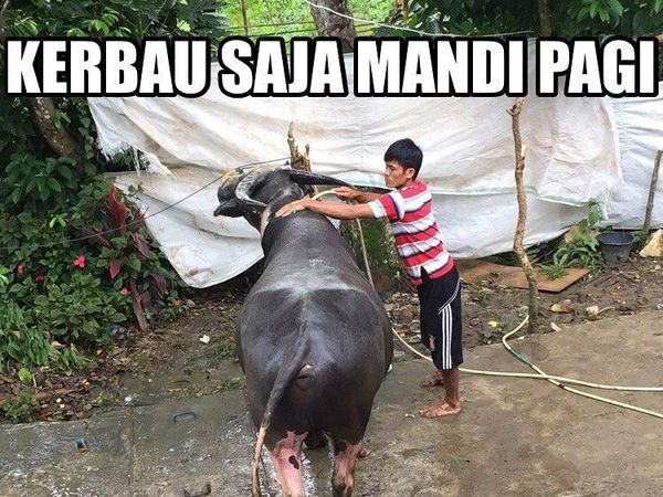 Ini 10 Meme Malas Mandi yang Kocak Abis, Bikin Ngakak!