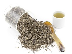 Ini Sebabnya White Tea Populer dan Harganya Mahal