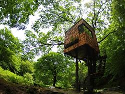 Ini Rumah Pohon yang Paling Amazing