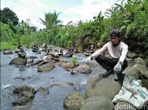 Rahmat Seniman Rock Balancing Punya Kebiasaan Aneh Sejak Kecil Rahmat Seniman Rock Balancing Punya Kebiasaan Aneh Sejak Kecil