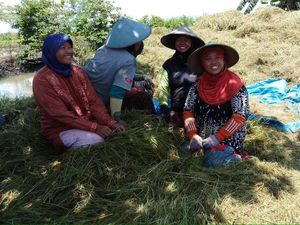 Nilai Tukar Petani di Februari Turun