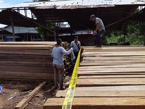 Foto: 5.000 Batang Kayu Belian dan Meranti Ilegal Disita Polda Kalbar