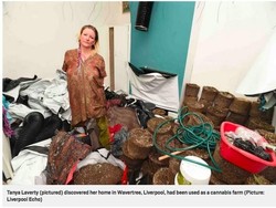 Keliling Dunia, Rumahnya Disewakan, Pas Pulang Jadi Ladang Ganja