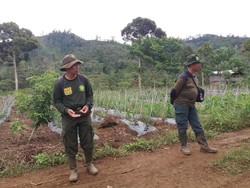 Lahan 6 Ribu Hektare di Taman Nasional Kerinci Seblat Dirambah Warga
