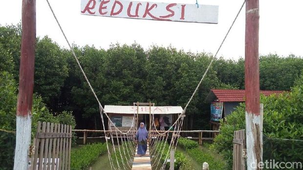 Wisata Hutan Mangrove Baru Favorit Anak Muda di Demak