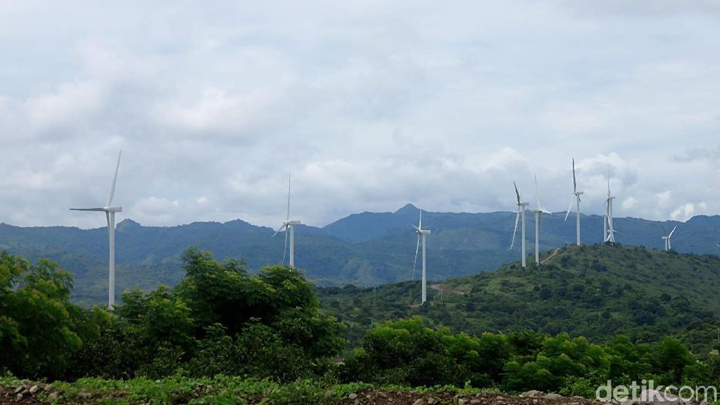 Begini Wujud Kebun Angin Raksasa Kebanggaan Jokowi Begini Wujud Kebun Angin Raksasa Kebanggaan Jokowi