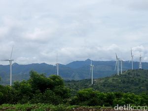 Begini Wujud Kebun Angin Raksasa Kebanggaan Jokowi
