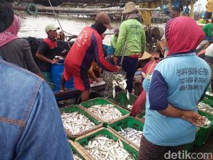 Nelayan di Demak Terpaksa Beli Solar dari Tengkulak Nelayan di Demak Terpaksa Beli Solar dari Tengkulak