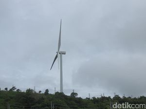 Mengintip Kebun Angin Raksasa Kebanggaan Jokowi
