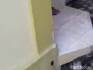 Sepasang Siswa SMA yang Diduga Mesum di Toilet Masjid Siap Dinikahkan Sepasang Siswa SMA yang Diduga Mesum di Toilet Masjid Siap Dinikahkan