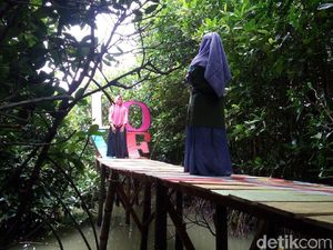 Wisata Hutan Mangrove Baru Favorit Anak Muda di Demak